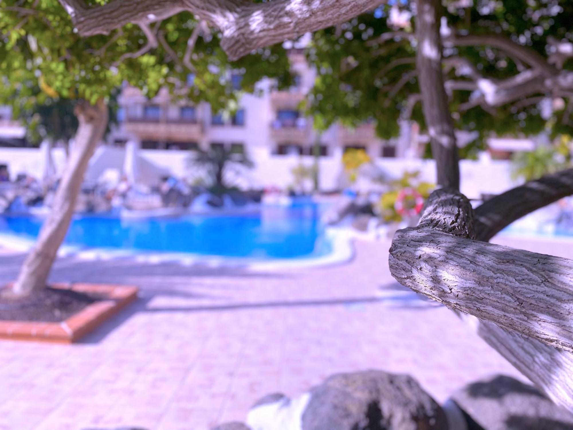 コスタ・デル・シレンチオTropicalidays Costa Marアパートメント エクステリア 写真